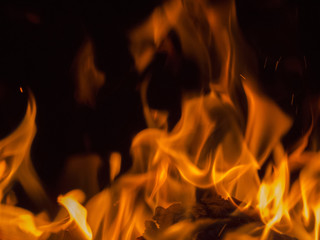 Fototapeta premium Primal bewitching magic of fire. Dance of orange flames on charred logs. Bonfire burning with crackling.