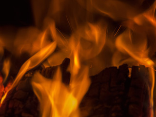 Primal bewitching magic of fire. Dance of orange flames on charred logs. Bonfire burning with crackling.