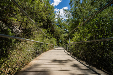 Wooden trail through the forest in the mountains.