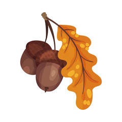 Oak Branch With Acorns Hanging From It Vector Illustration