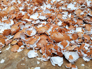 Shell scattered background, Broken Egg Shells