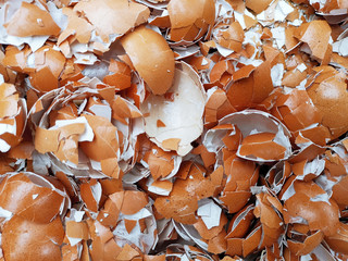 Shell scattered background, Broken Egg Shells
