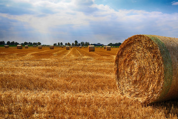 autumn, straw bale, straw bales, straw, recreation, harvest, agriculture, field, crop, yellow, farm, summer, landscape, rural, sky, hay, wheat, nature, bale, blue, grain, gold, meadow, dry, golden, fa