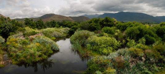 Naklejka na ściany i meble View of the tree lined Riviersonderend River flowing under a brooding, cloudy sky. Near Greyton. Western Cape. South Africa.