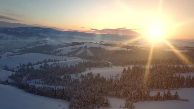Flight over mountains covered with spruce and pine forest under snow at sunrise. New winter day is coming. Natural landscape from a height. Aerial view of Carpathian mountains in winter.