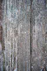 Obraz premium 木の素材