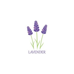 lavender floral aromatic logo vector icon illustration design 