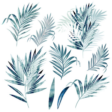 Big vector collection of palm leaves in watercolor style