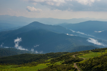 Obraz premium Carpathian mountains landscape in summer