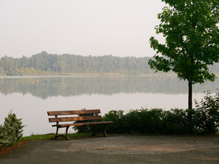 Obraz premium Park recreation area by the lake. Wolsztyn, Poland