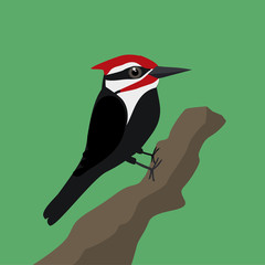 A vector illustration of a pileated  woodpecker on a tree trunk with a green background