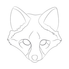 fox portrait vector illustration, line drawing, wild world