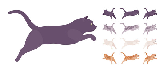 White, black, orange, grey striped pedigree cat jumping set. Active healthy kitten with beautiful fur, cute funny pet, home playful companion. Vector flat style cartoon illustration different views