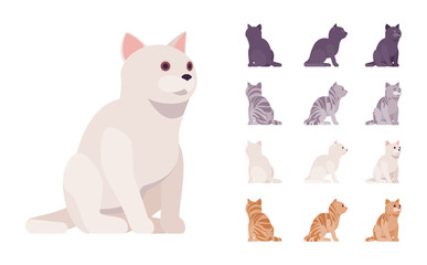 White, black, orange, grey striped pedigree cat sitting set. Active healthy kitten with beautiful fur, cute funny pet, home playful companion. Vector flat style cartoon illustration different views