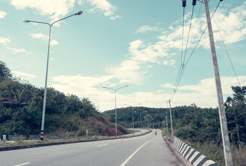 road and trees