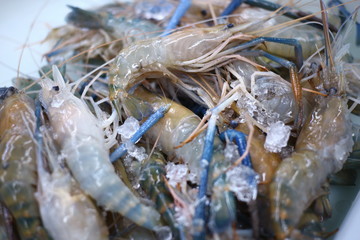 Fresh shrimp at the market