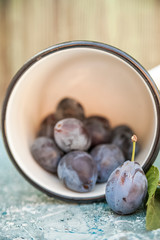 Ripe juicy plums on a blue background close-up. Homemade plums and copy space.