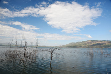 Obraz premium Lamtakong Dam, Nakhon Ratchasima Province, Thailand