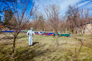 Obraz na płótnie Canvas Gardener wearing protective overall sprinkles fruit trees with long sprayer, apiary is in the orchard