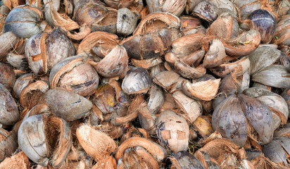 Drying coconut husks in the village for coals - background