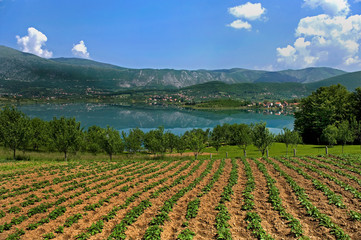 Bäuerliche Landschaft am Ramsko Jezero (Rama-Stausee) in Bosnien-Herzegowina