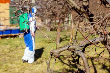 Fresh pruned twig with bud before chemical protection.