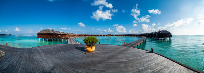 Maldives island with beach water bungalows and palm trees, South Male Atoll, Maldives