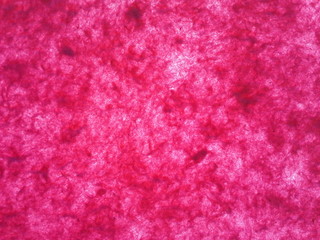 pink abstract background