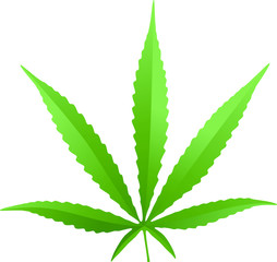 cannabis leaf vector isolated on white background