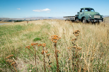 Old Vintage Truck abandoned in New Zealand Paddock
