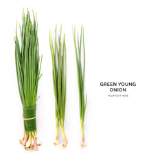Creative layout made of green young onion on the white background. Flat lay. Food concept. Macro...