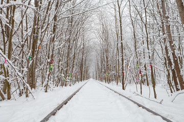 a railway in the winter forest tunnel of love.a railway in the winter forest tunnel of love.