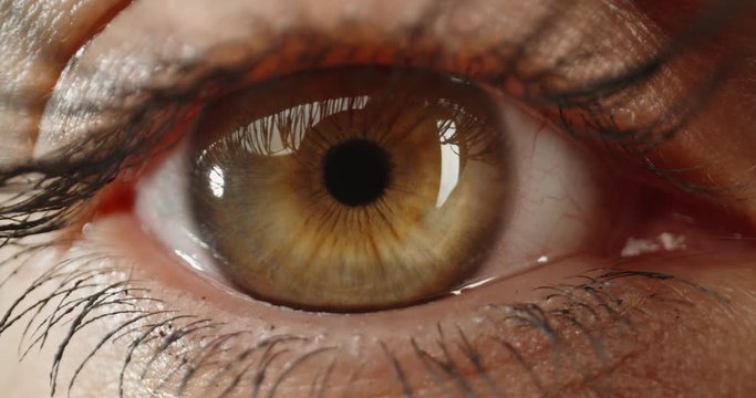 Female eye with green iris and make up looking straight at camera - extreme close up shot 4k footage