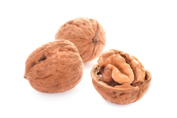 Walnut in group isolated on white