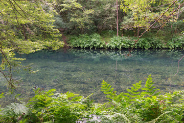 Eume river in the Fragas do Eume park