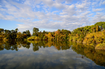池の周りの黄色く色づいた林と上空に浮かぶ冬の雲が、水面に映り込んでいる風景