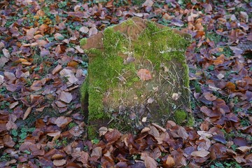 Kleiner verwitterter jüdischer Grabstein aus rotem Sandstein mit Ornament