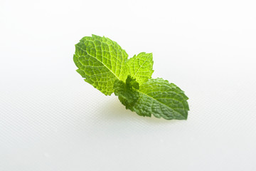Obraz na płótnie Canvas Green mint leaf isolated on white background