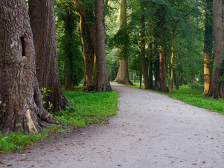 Fototapeta na wymiar City green park scenic footpath. Wolsztyn, Poland
