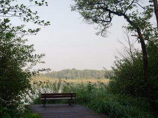 Park recreation area by the lake. Wolsztyn, Poland