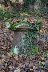 Verwitterter alter jüdischer Grabstein mit Moos und Efeu