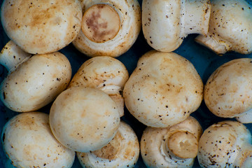 fresh mushroom in a basket