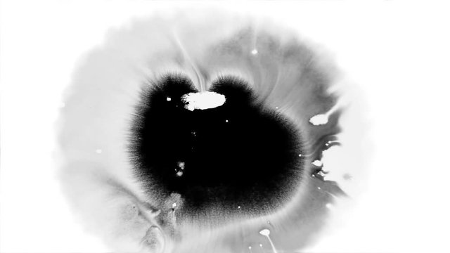 Dripping black spot on white background  use as alpha effects