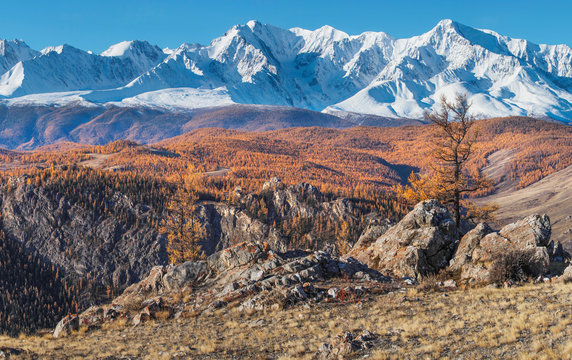 Autumn view, sunny day. Picturesque mountain landscape. Snow-capped peaks and blue sky. © Valerii