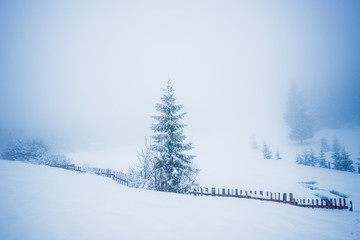 Obraz premium Beautiful panorama of fences