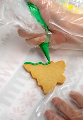 Christmas Tree Biscuit - 307105195