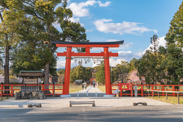 京都 上賀茂神社の風景