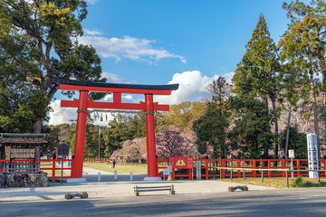 京都 上賀茂神社の風景