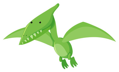 Single picture of green pteranodon © brgfx
