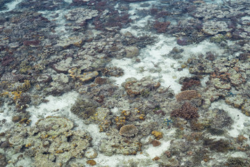 Roral reef around an island in Celebes Sea during low tide, which makes amazing scenery and shows...